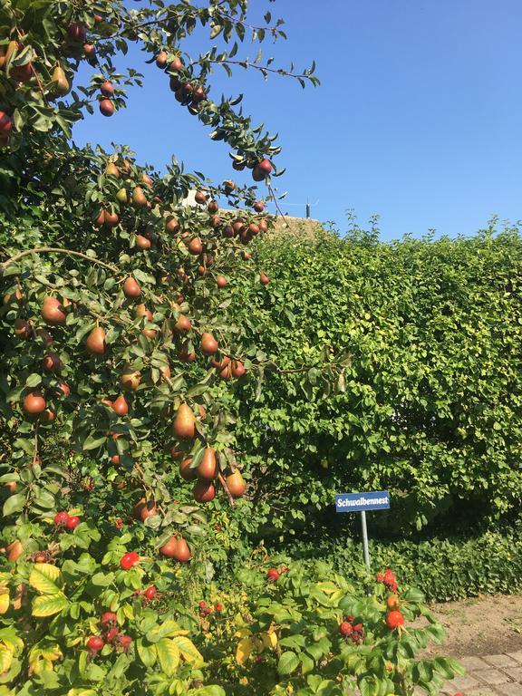 Ferienwohnung Schwalbe Wieck/Darss Kültér fotó